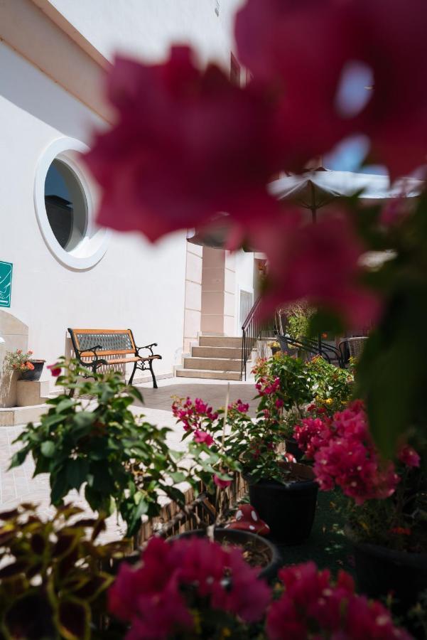 Olympiakí Aktí Villa Irida Sun מראה חיצוני תמונה